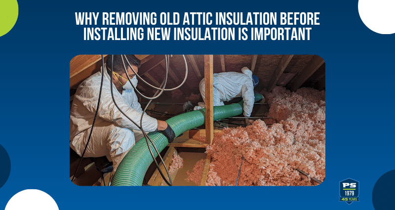 Why Removing Old Attic Insulation Before Installing New Insulation is Important