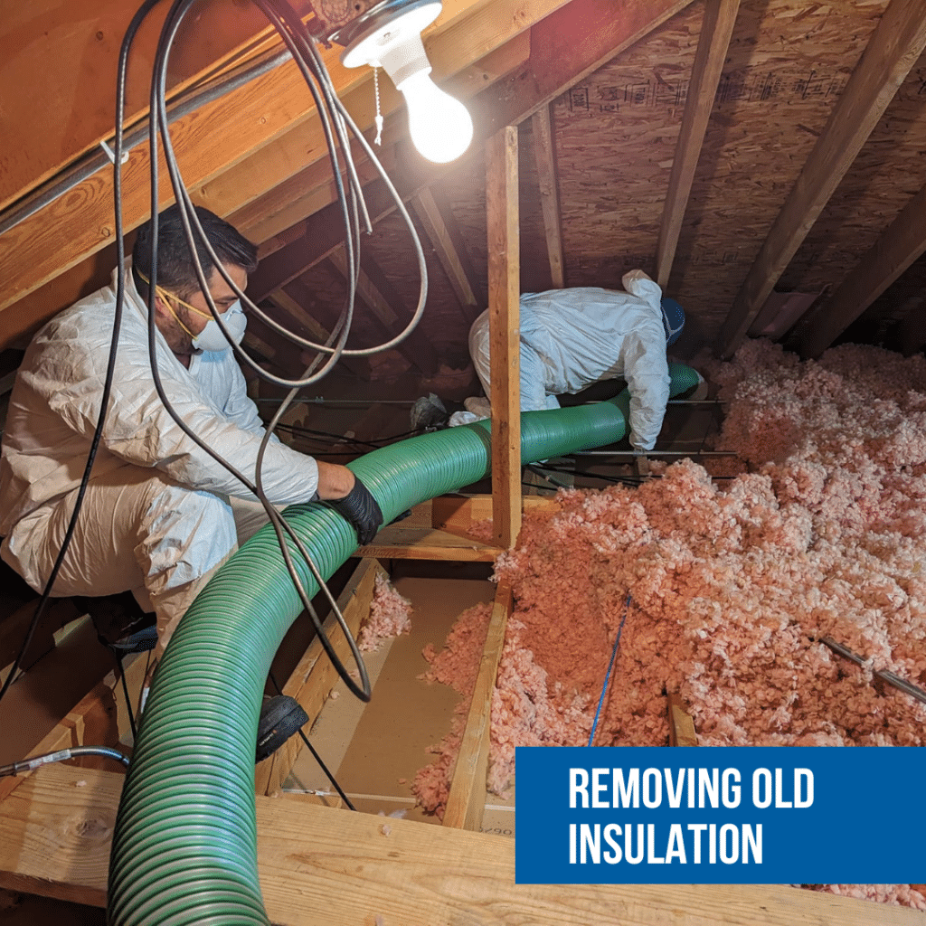 Old Insulation Removal