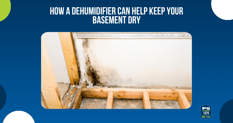 How a Dehumidifier Can Help Keep Your Basement Dry